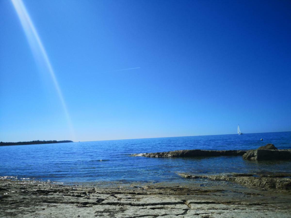 West Coast Mobilhome With Xxl Terrace In Naturist Resort Solaris Fkk Tar-Vabriga Luaran gambar